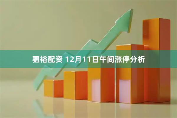 驷裕配资 12月11日午间涨停分析