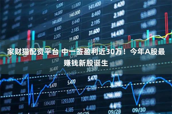 家财猫配资平台 中一签盈利近30万！今年A股最赚钱新股诞生