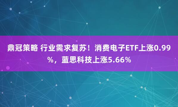 鼎冠策略 行业需求复苏！消费电子ETF上涨0.99%，蓝思科技上涨5.66%