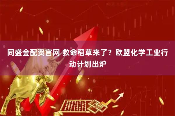同盛金配资官网 救命稻草来了？欧盟化学工业行动计划出炉